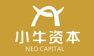 小牛资本管理集团 市场定位、营销策略与行业竞争格局解析